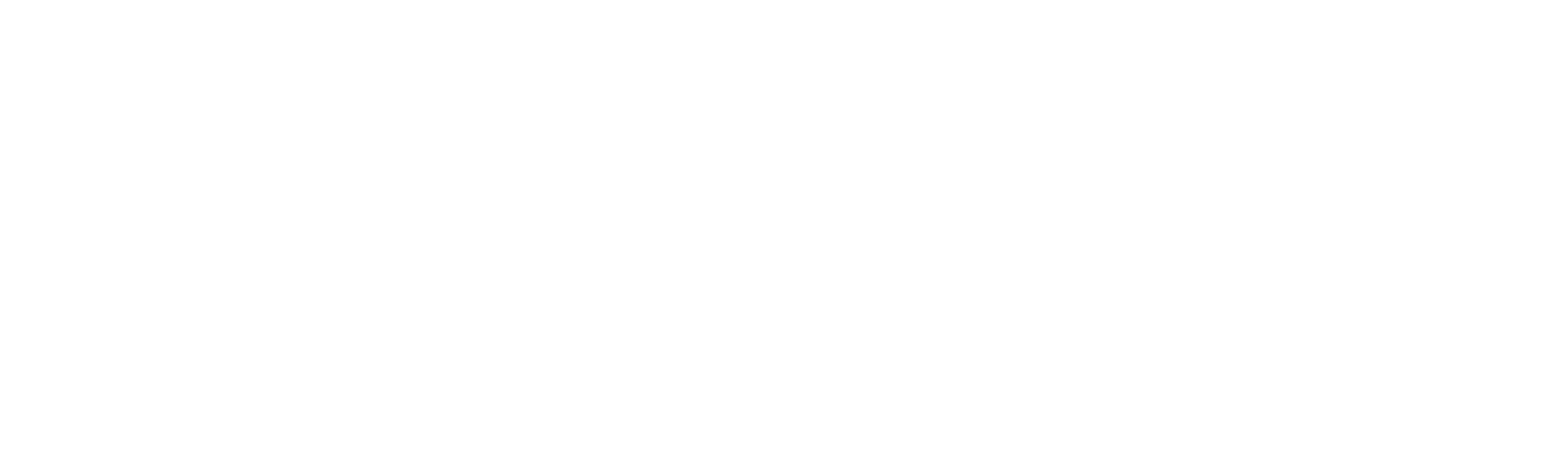 Digital Built Aotearoa Logo white