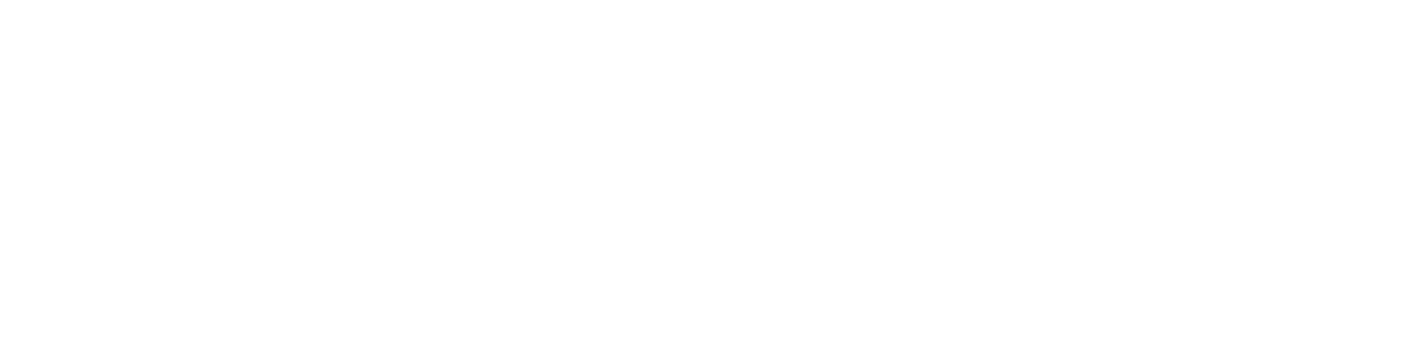 Absolutely Positively Wellington City Council Me Heke Ki Pōneke logo